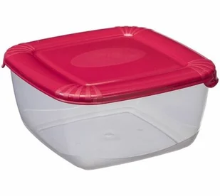 Plast Team poland Pojemnik Na Żywność Kwadrat Polar 2,5L PlastTeam PT16770803 - Pojemniki kuchenne - miniaturka - grafika 2