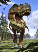 Fototapety - Komar Fototapeta Tyrannosaurus Rex XXL2-532 XXL2-532_opcje - miniaturka - grafika 1