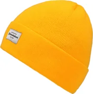 Czapki damskie - Horsefeathers czapka zimowa damska MERYL BEANIE Golden Rod - miniaturka - grafika 1