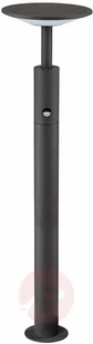 Lampenwelt COM Słupek ogrodowy LED Fenia, czujnik ruchu, 100 cm - Lampy ogrodowe - miniaturka - grafika 2