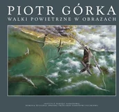 Albumy inne - IPN Walki powietrzne w obrazach Piotr Górka - miniaturka - grafika 1