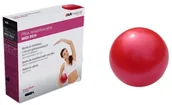 Piłki do ćwiczeń - Piłka Rehabilitacyjna MIDI Reh 20CM RRL-20 +pompka - miniaturka - grafika 1