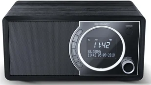 Sharp DR-450 białe - Radia - miniaturka - grafika 15