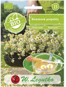 Nasiona i cebule - Legutko Rumianek pospolity nasiona BIO - miniaturka - grafika 1