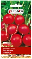 Nasiona i cebule - Plantico Rzodkiewka Galaxy 10g - miniaturka - grafika 1