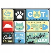 Magnesy - Nostalgic Art Magnesy (9szt) Cat Lifestyle - miniaturka - grafika 1