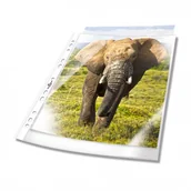 Ofertówki - Durable Koszulki Business A4 100 szt. 2658-19 - miniaturka - grafika 1