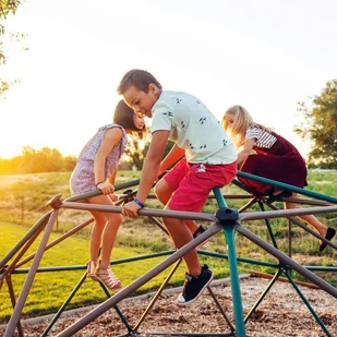 Plac Zabaw Kopuła Do Wspinaczki Life Time - Place zabaw - miniaturka - grafika 9