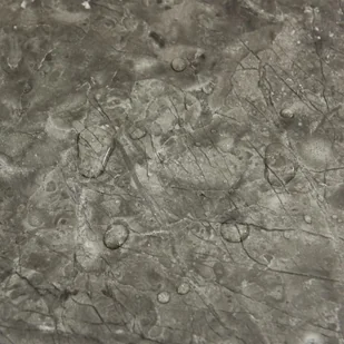 VidaXL Lumarko Samoprzylepne panele podłogowe, 20 szt., PVC, 1,86 m, szare! 330156 VidaXL - Panele podłogowe - miniaturka - grafika 6