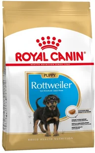 Royal Canin Rottweiler Junior 12 kg - Sucha karma dla psów - miniaturka - grafika 2