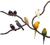 Smycze dla psów - Ferplast 84190799 grzędy wtykowe Flex 4190, średnica 12 MM, 79-częściowy, brązowy 84190799 - miniaturka - grafika 1