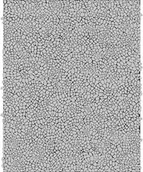 Decoupage - Decopatch Clairefontaine c531o decopatch papieru, trójpak Zielony z motywami żyrafa C535O - miniaturka - grafika 1