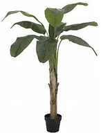 Sztuczne drzewka - Europalms EUROPALMS Drzewo bananowe, sztuczna roślina, 145 cm 82509504 - miniaturka - grafika 1