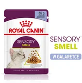 Mokra karma dla kotów - Royal Canin Sensory Smell w galarecie - 24 x 85 g - miniaturka - grafika 1