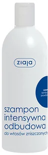 Ziaja INTENSYWNA PIELĘGNACJA WŁOSÓW - SZAMPON INTENSYWNA ODBUDOWA CERAMIDY 400ml - Szampony do włosów Ziaja INTENSYWNA PIELĘGNACJA WŁOSÓW - SZAMPON INTENSYWNA ODBUDOWA CERAMIDY 400ml - Szampony do włosów - miniaturka - grafika 5