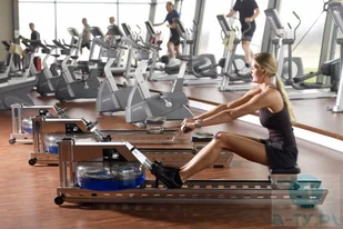 WaterRower Wioślarz wodny S1 LoRise S4 Stal a-ty WW-WR-400-S4 - Wioślarze - miniaturka - grafika 20