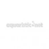 Pokarm dla płazów i gadów - Nekton nekton muszek owocowych, koncentrat, 1er Pack (1 X 1 kg) - - miniaturka - grafika 1