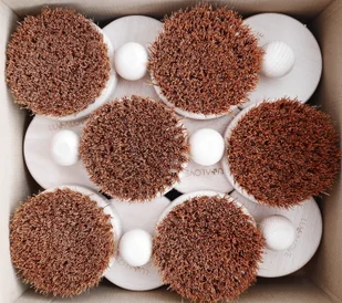 Lullalove Lullalove Ostra, Okrągła Szczotka do Szczotkowania Ciała - Kokos LULLALOVE31 - Szczotki do masażu - miniaturka - grafika 9