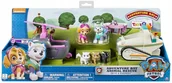Samochody i pojazdy dla dzieci - Paw Psi Patrol Skye i Everest Zestaw Ratowniczy - miniaturka - grafika 1