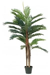 Europalms EUROPALMS Kentia palma, sztuczna roślina, 120 cm 82511365 - Sztuczne drzewka Europalms EUROPALMS Kentia palma, sztuczna roślina, 120 cm 82511365 - Sztuczne drzewka - miniaturka - grafika 1