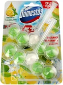Środki do WC - Domestos Green Tea DUO Kostka WC Power 5 koszyk 2 x 55g - miniaturka - grafika 1