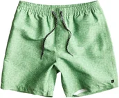 Kąpielówki męskie - Quiksilver szorty kąpielowe mięske FRUIT BAT VOLLEY E17 GPS6 - miniaturka - grafika 1