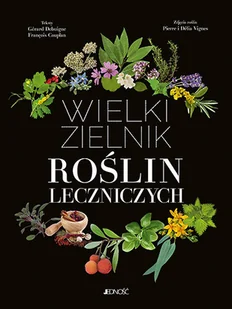 Wielki zielnik roślin leczniczych - Rozwój osobisty - miniaturka - grafika 2