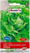 Nasiona i cebule - Plantico Sałata Ismina - miniaturka - grafika 1