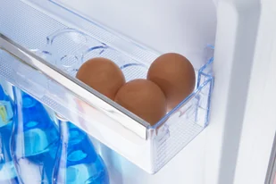 Lodówka Amica KGC15630R - Lodówki - miniaturka - grafika 16