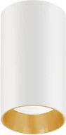 Oprawy, klosze i abażury - Maclean Oprawa natynkowa tuba punktowa okrągła aluminiowa GU10 55x100mm kolor biały/złoty MCE458 W/G - miniaturka - grafika 1