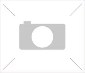 Uzdatniacze wody - BWT Element filtracyjny do filtrów Protector BW i Cillit Top 1902393 1902393 - miniaturka - grafika 1