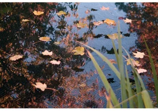 Outsideliving Ubbink Siatka ochronna na oczko wodne, PE, 3 x 4 m, 1371341 - Oczka wodne - miniaturka - grafika 3