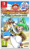 Gry Nintendo Switch - Wonder Boy Asha in Monster GRA NINTENDO SWITCH - miniaturka - grafika 1