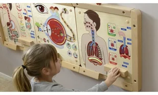 Masterkidz MASTERKIDZ Tablica Edukacyjna Układ Oddechowy ME14405 - Tablice dla dzieci - miniaturka - grafika 4
