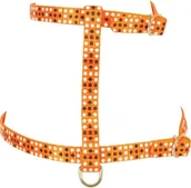 Szelki dla kotów - Zolux Zolux Szelki nylonowe COLORFUL 10 mm kol. pomarańczowy - miniaturka - grafika 1