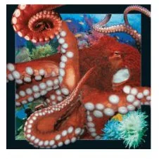 Worth-Keeping Gadżet Worth-Keeping Magnes na lodówkę 3D Ośmiornica WIKR-1000425 WIKR-1000425 - Gadżety USB - miniaturka - grafika 2