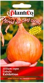 Nasiona i cebule - Plantico Cebula Exibitionduża - miniaturka - grafika 1