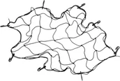 Haki, szakle i karabinki - Vorel SIATKA DO BAGAŻNIKA Z 8 HAKAMI/ROZMIAR 90X90cm 82261 - miniaturka - grafika 1