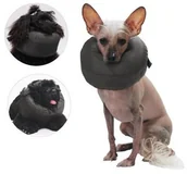 Specjalistyczne artykuły dla zwierząt - Grande Finale Kołnierz pooperacyjny rozmiar 7 - miniaturka - grafika 1