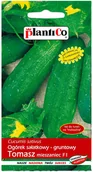 Nasiona i cebule - Plantico Ogórek Tomasz F1 - miniaturka - grafika 1