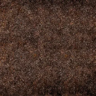 Trixie Naturalne podłoże próchniczne do terrarium REPTILAND, 20 L - Pielęgnacja i zdrowie płazów i gadów - miniaturka - grafika 2