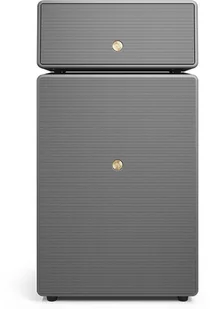 Audio Pro DRUMFIRE II szary - Głośniki i kolumny - miniaturka - grafika 2