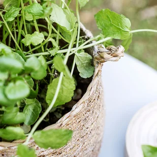 House Doctor House Doctor - Kosz Hang S 13706 - Pudła i pojemniki do przechowywania House Doctor House Doctor - Kosz Hang S 13706 - Pudła i pojemniki do przechowywania - miniaturka - grafika 2