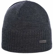 Czapki narciarskie - lodu Glut mężczyzn Ben XL Eisglut_12117XL_CAVIAR MEL (Eisglut_12117XL_CAVIAR MEL.) - miniaturka - grafika 1