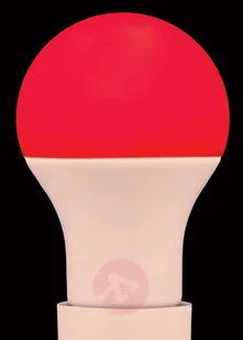 Eko-Light Żarówka LED E27 9W RGBW z pilotem EK682 - Żarówki LED - miniaturka - grafika 5