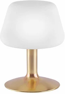 Paul Neuhaus TILL lampa stołowa LED Mosiądz, 1-punktowy (4078-60) - Lampy stojące - miniaturka - grafika 3