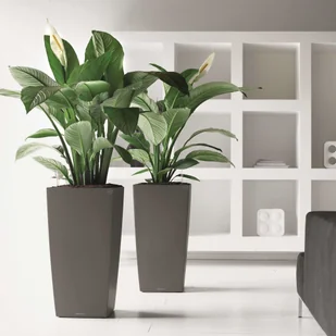 Lechuza Donica Cubico 50 ALL-IN-ONE, ciemnoszara, 18164 - Donice - miniaturka - grafika 3