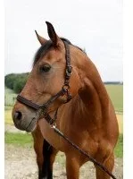 Can-agri Can-Agri Kantar Goleygo z Adapterem czarno-różowy roz.3 3221380 - Kantary dla koni - miniaturka - grafika 2