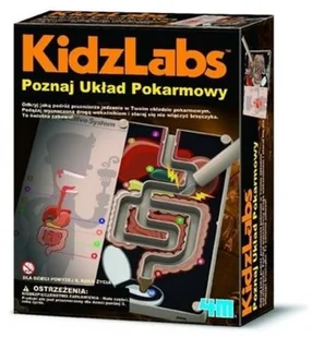 4M KidzLabs Poznaj Układ Pokarmowy - Mały naukowiec - miniaturka - grafika 2