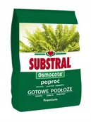 Ziemia ogrodowa - Substral Podłoże do paproci 3 l - miniaturka - grafika 1